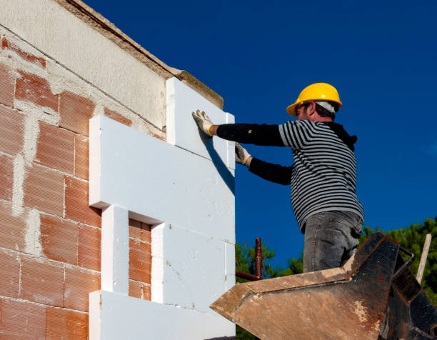 Best Attic Insulation Installation  in Rochester, WI