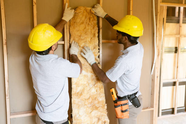 Best Insulation Contractors for Homes  in Rochester, WI