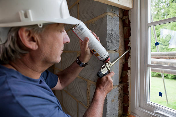 Best Best Insulation Companies  in Rochester, WI