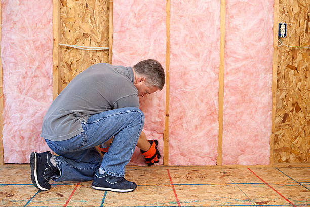 Insulation Repair Services in Rochester, WI