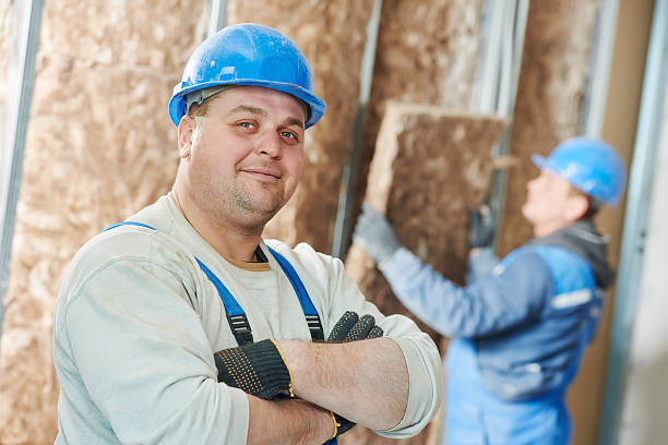 Best Home Insulation Services  in Rochester, WI