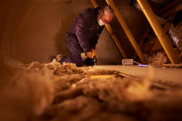 Best Fiberglass Insulation  in Rochester, WI